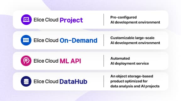 Experience an All-in-One Cloud Solution
for AI R&D and Deployment